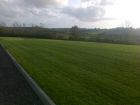Lawns